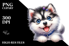 Baby Siberian Husky PNG Product Image 2