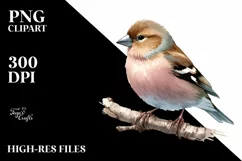 Colorful Simple Finch Clipart Product Image 3