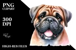 Bullmastiff Watercolor Clipart Product Image 3