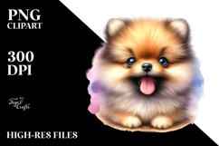Happy Pomeranian Puppy PNG Product Image 2