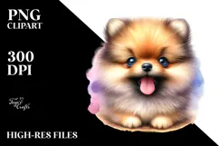 Happy Pomeranian Puppy PNG Product Image 2