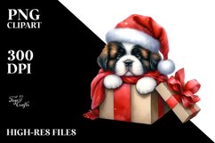 Expressive Baby Saint Bernard PNG Product Image 1