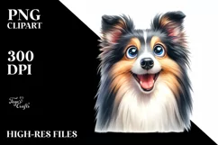 Funny Crazy Shetland Sheepdog Watercolor | Sublimation | Product Image 3