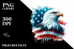 Washed Patriotic Bald Eagle USA Colors Majestic | Clipart Product Image 1