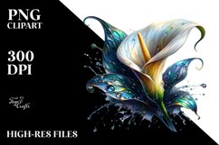 Detailed Calla Lily White Background Clipart Product Image 3