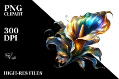 Detailed Calla Lily White Background Clipart Product Image 3