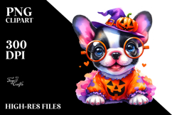 Expressive Baby French Bulldog, Transparent PNG Product Image 2