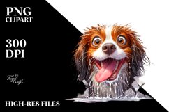 Crazy Looking Wet Furr | Clipart Product Image 1