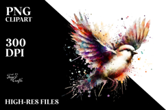 Vibrant Grungy Bird Watercolor PNG Product Image 2
