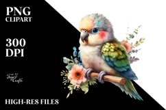 Adorable Baby Parrot in Digital Watercolor, PNG Product Image 2