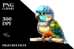 Cute Baby Parrot in Digital Watercolor, PNG Product Image 2