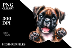 Happy Crazy Fur Baby Boxer PNG Product Image 2