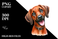 Cute Cartoon Rhodesian Ridgeback PNG Product Image 2