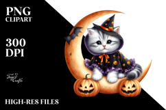 Kitten in Halloween Costume, Transparent PNG Product Image 2