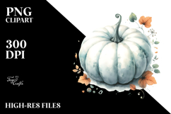 Washed Simple Pumpkin PNG Product Image 2