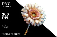 -like Gerbera with Golden Insertions PNG Product Image 2