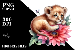 Baby Lion Sleeping on Flower, PNG Product Image 2