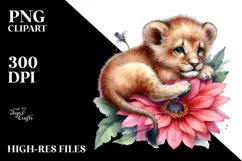Baby Lion Sleeping on Flower, PNG Product Image 2