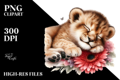 Baby Lion Sleeping on Flower, PNG Product Image 2