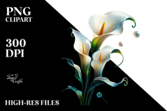 Calla Lily with Watercolor Splash Product Image 2