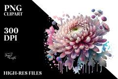 Chrysanthemum PNG Product Image 2