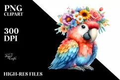 d cartoon-style Macaw with Flower Crown | Clipart Product Image 1
