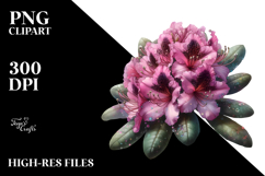Rhododendron PNG Product Image 2