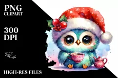 Colorful Owl with Santa Hat, Summer PNG Product Image 1