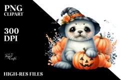 Cute Baby Seal Sitting with Pumpkin, PNG Product Image 1
