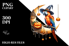 Macaw Halloween Night PNG Product Image 2