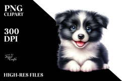 Cute Border Collie With Big Eyes PNG Product Image 2