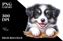 Cute Border Collie With Big Eyes PNG Product Image 2