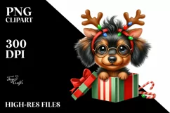 Baby Dachshund in Gift Box, PNG Product Image 3