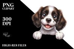 Crazy Funny English Springer Spaniel | Sublimation | Clipart Product Image 3