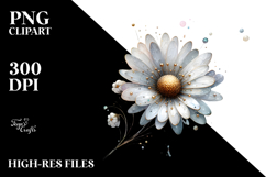 Daisy Watercolor PNG Product Image 2