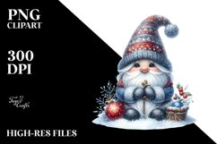 Detailed Winter Gnome Product Image 1