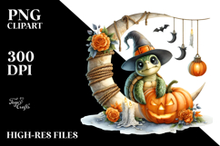Turtle in Halloween Costume, Transparent PNG Product Image 2