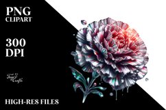 Detailed Shiny Carnation Made of | Round Watercolor Splash Product Image 1