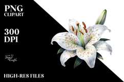 Lily Sublimation PNG Product Image 2