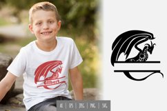 Cool, Menacing Dragon in Split Design Product Image 1