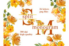 Split monogram clipart. Floral alphabet PNG letters clip art Product Image 1