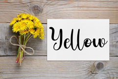 Spongebob Product Image 3