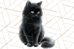 Spooky Props and Elements PNG, Halloween Clip Art Product Image 4