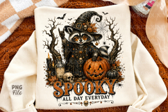 Spooky Raccoon PNG, Halloween Witch Raccoon PNG Product Image 1