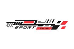 Sports stripe vinyl stickers racing decal graphic Product Image 1