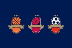 Sports Vintage Logo Labels Product Image 2