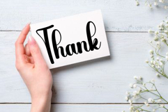 Spotlight Product Image 2