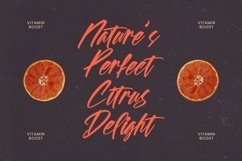 Spotnight Balmonte - Modern Brush Font Script Product Image 7