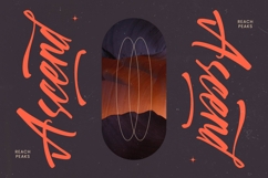 Spotnight Balmonte - Modern Brush Font Script Product Image 14