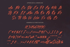 Spotnight Balmonte - Modern Brush Font Script Product Image 18